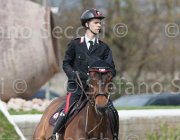Bologni F Lovestar TosTour 2013- S4 6520 : Arezzo Equestrian Centre, Bologni Filippo, Lovestar, Toscana Tour 2013, foto di Stefano Secchi ©